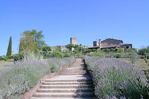 Gita a Monteriggioni